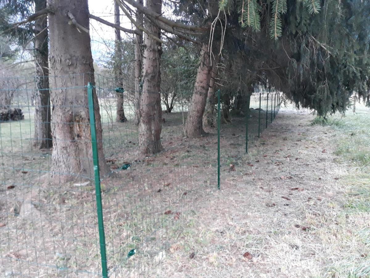 Chalet Tout Confort Proche D Ax 3 Domaines Vebre المظهر الخارجي الصورة