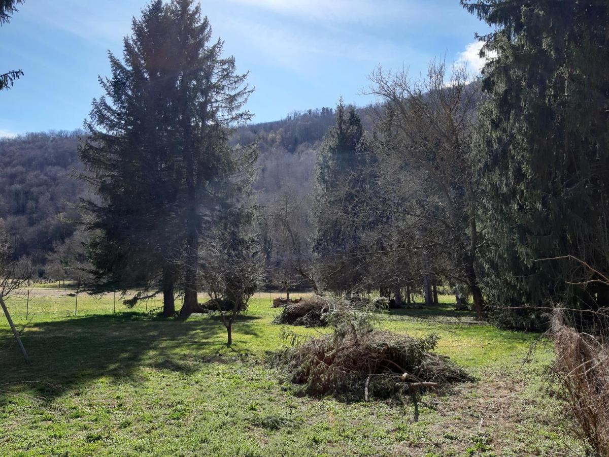 Chalet Tout Confort Proche D Ax 3 Domaines Vebre المظهر الخارجي الصورة