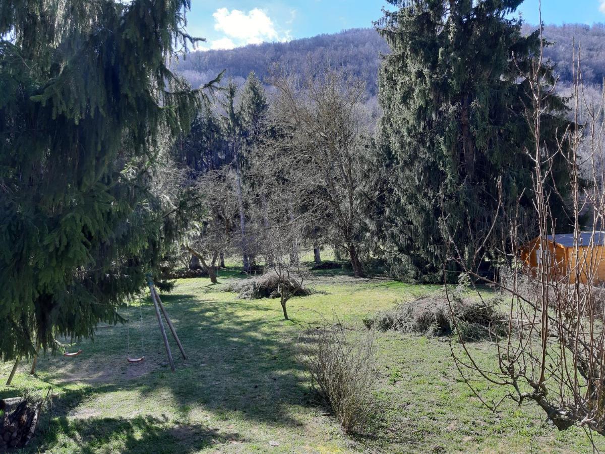 Chalet Tout Confort Proche D Ax 3 Domaines Vebre المظهر الخارجي الصورة